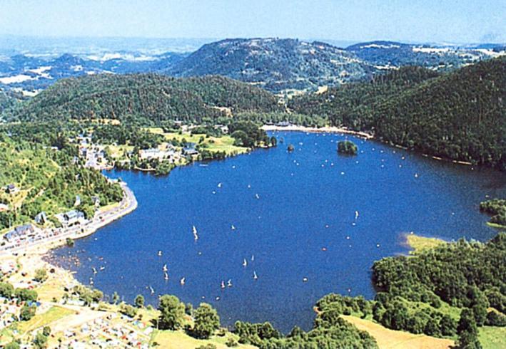 Apartament Les Pieds Dans L'Eau Murol Zewnętrze zdjęcie